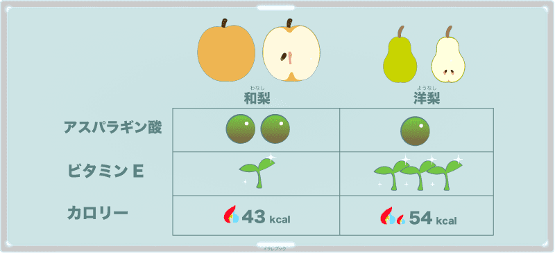和梨と洋梨のカロリーと栄養比較