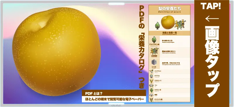 桃の栄養たち PDF