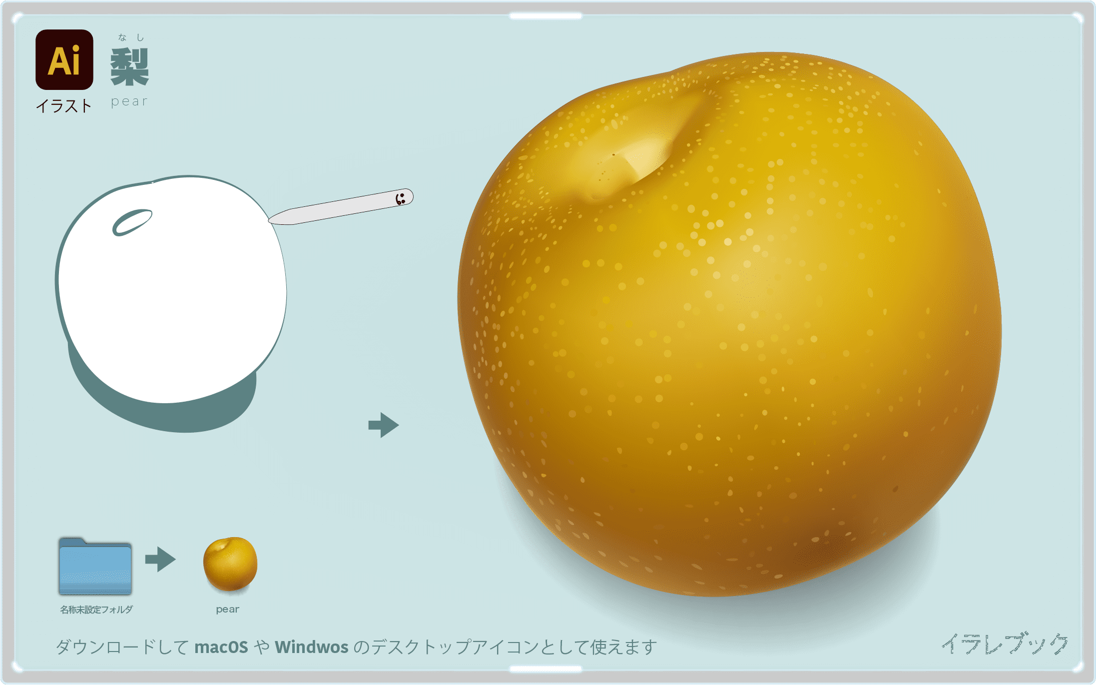 梨 シャキシャキの秋の味覚 カロリー 栄養 洋梨と和梨の違いや共通点を解説 Pear