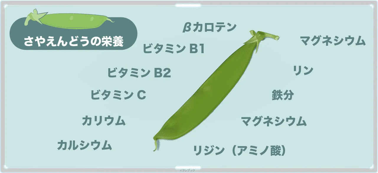 さやえんどうの栄養
