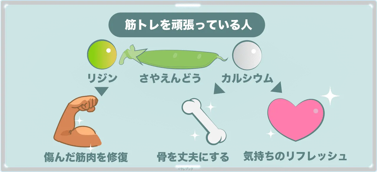 さやえんどうにあるリジンが筋肉を修復したり、カルシウムが骨を丈夫にしてくれる