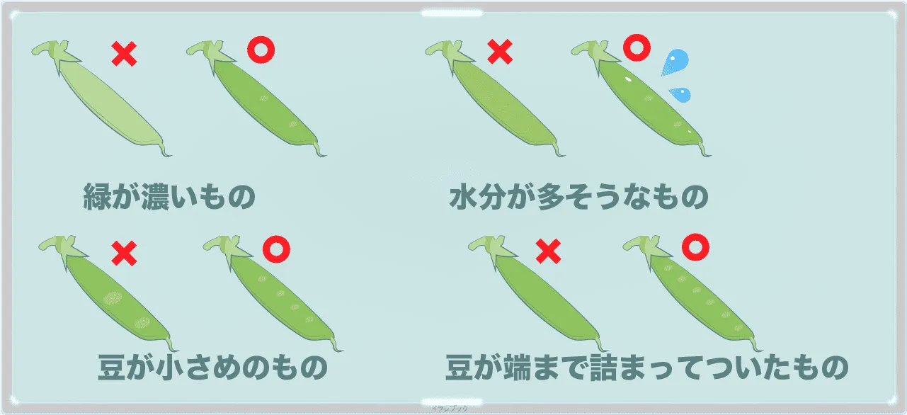 美味しいさやえんどうの選び方