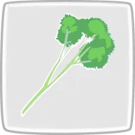 冷凍パセリ