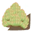 ピスタチオの花言葉