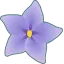 じゃがいもの花言葉