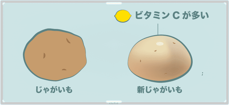 じゃがいもの栄養