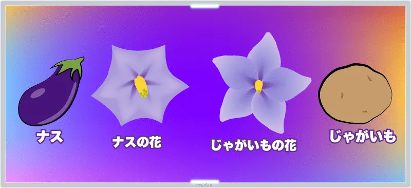 「じゃがいも」と「ナス」の共通点は花