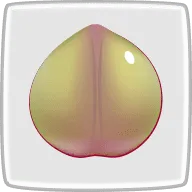 ソルダム