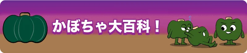 【かぼちゃ大百科！】旬は夏？秋？冬？冬至もハロウィンも完全網羅のかぼちゃマニュアル