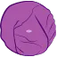 紫キャベツ