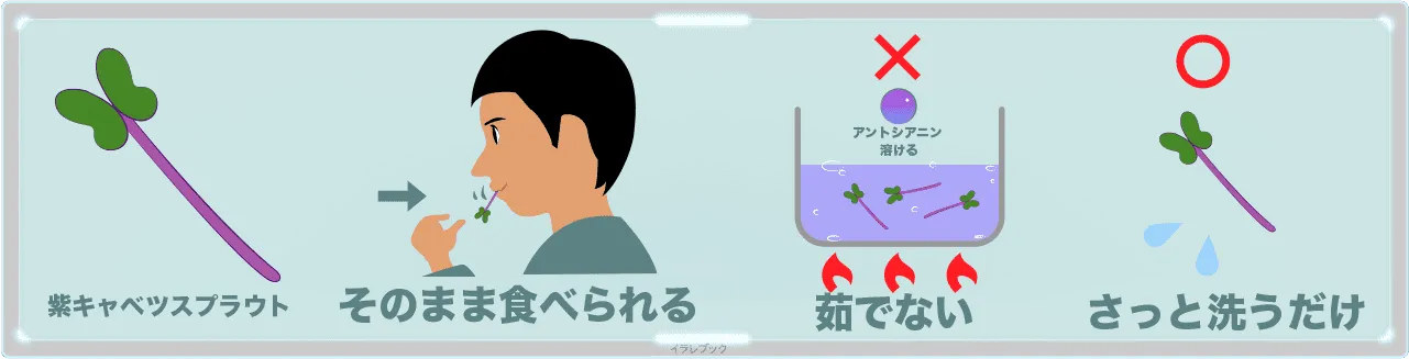 アントシアニンという色素