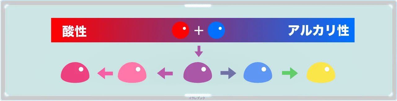 アントシアニンという色素