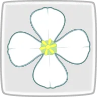 大根の花言葉