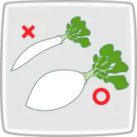 見分け方