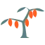 カカオの歴史の絵文字