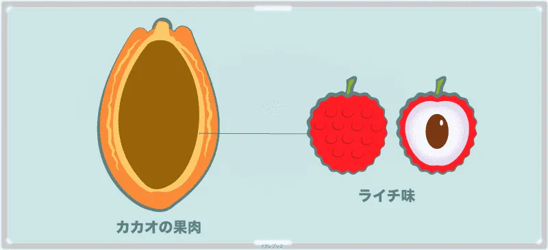 カカオの果肉はライチ味