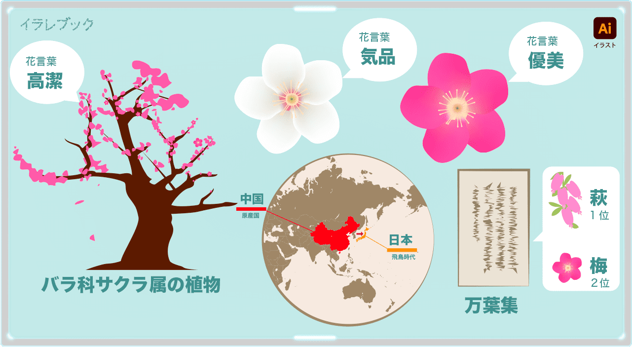 バラ科サクラ属の植物で花言葉は高潔