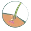 古い書物の絵文字