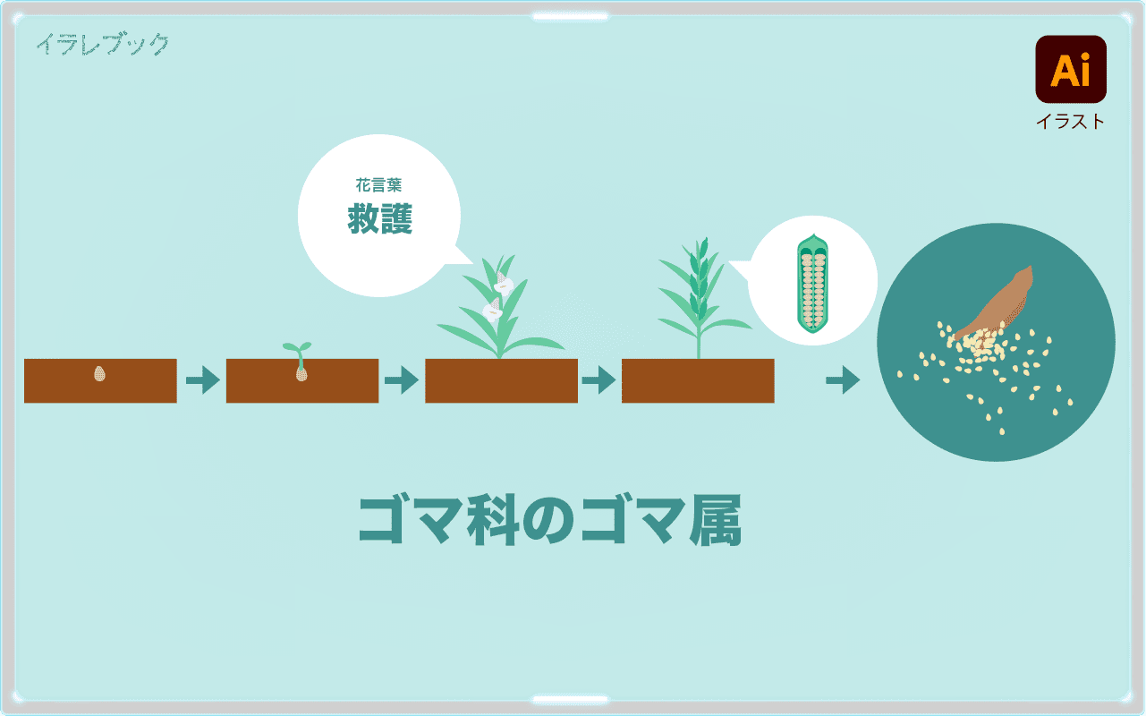 ゴマのすべて ゴマは最古の香味料 若さを保つゴマグリナン効果とは Sesame