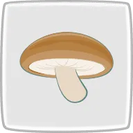 椎茸