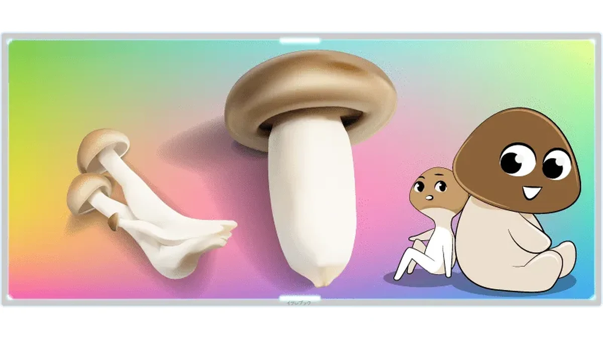 しめじのフルネーム】洗う？冷蔵庫で何日もつ？イラストでわかる毒性