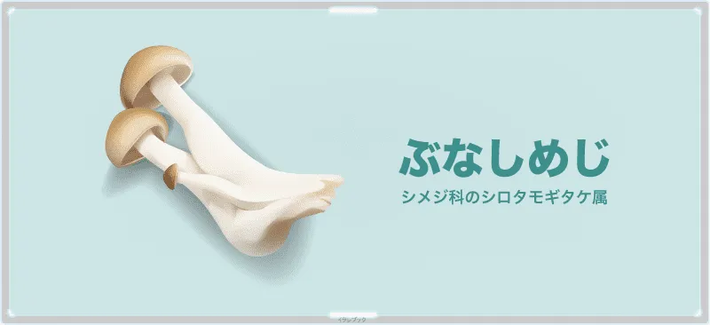 ぶなしめじ