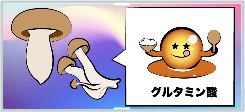 しめじは、うまみ成分である、グルタミン酸が豊富
