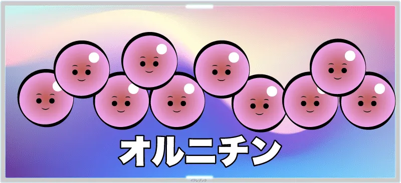 オルニチン