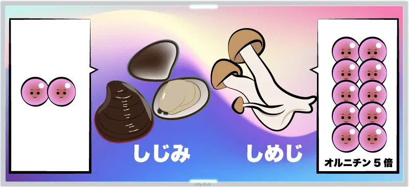 しめじに含まれるオルニチンは、しじみの約5倍！