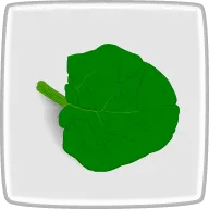 ちぢみほうれん草