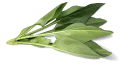 ほうれん草