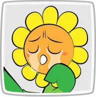 ひまわりちゃん泣く