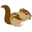 リス