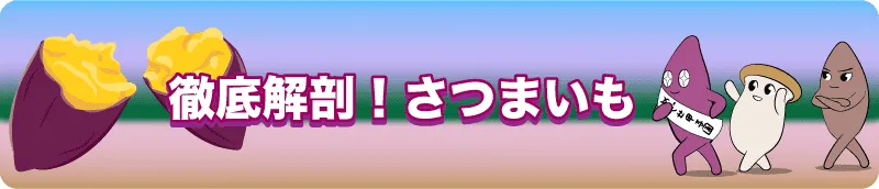 さつまいも