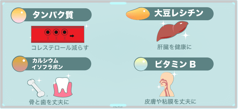 豆腐の主な栄養の効果