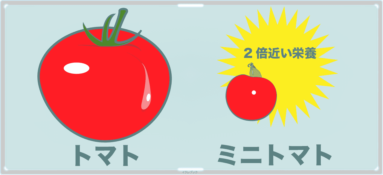 ミニトマトはトマトの2倍近い栄養がある