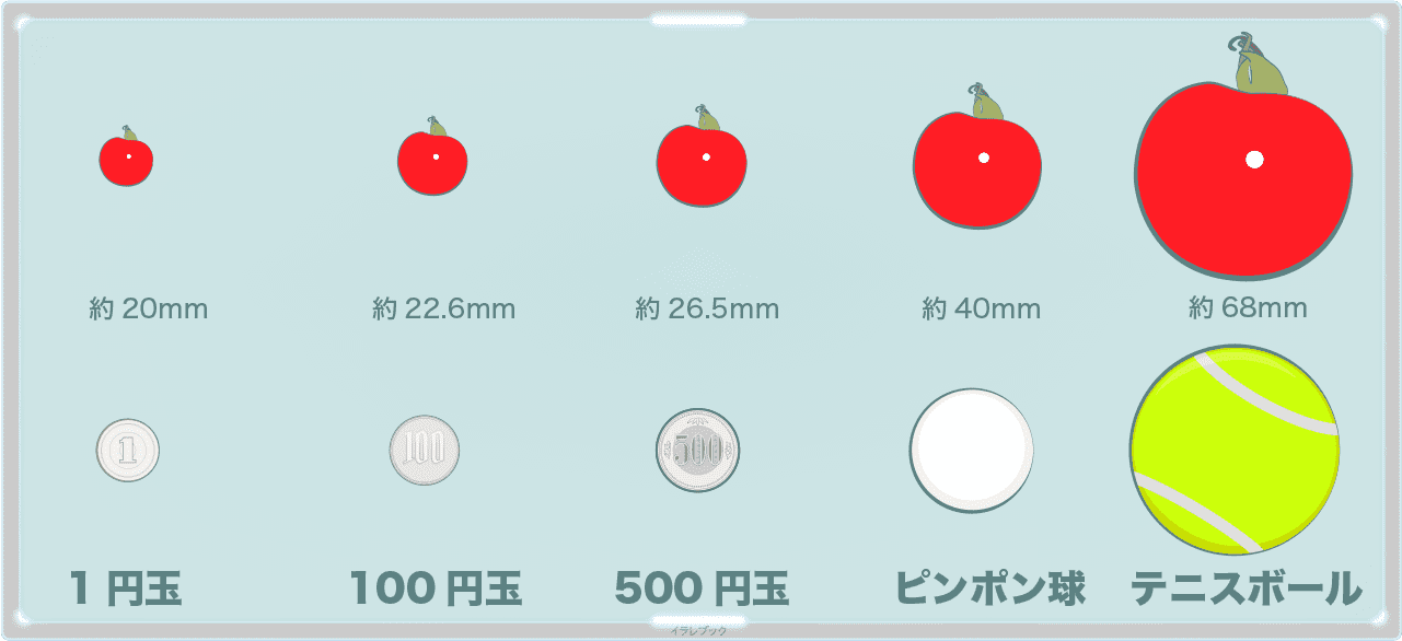 ミニトマトのサイズ。1円玉、100円玉、500円玉、ピンポン球、テニスボール