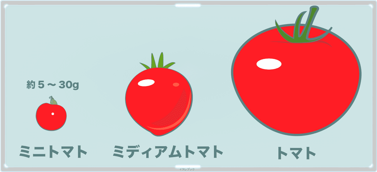 ミニトマト、ミディアムトマト、トマト