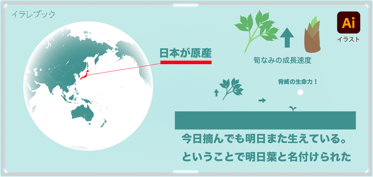 明日葉の原産地は日本。今日摘んでも明日また生えている明日葉