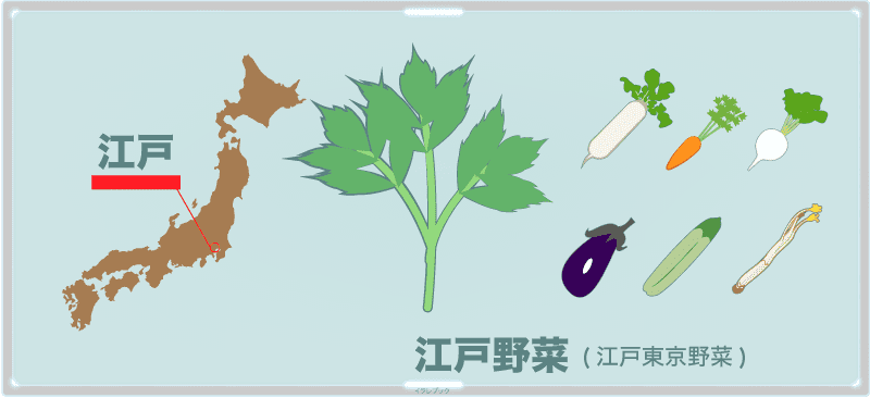 江戸野菜