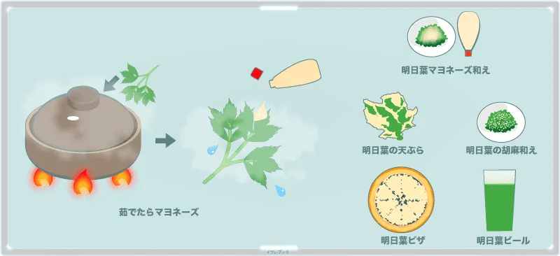明日葉の食べ方