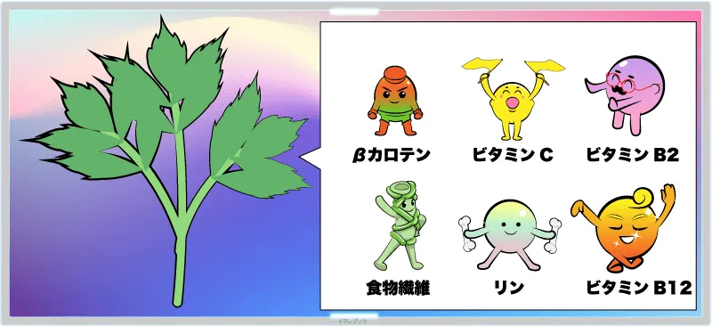 明日葉の栄養はβカロテン、ビタミンB2、ビタミンC、リン、それに食物繊維が野菜の中でトップクラス