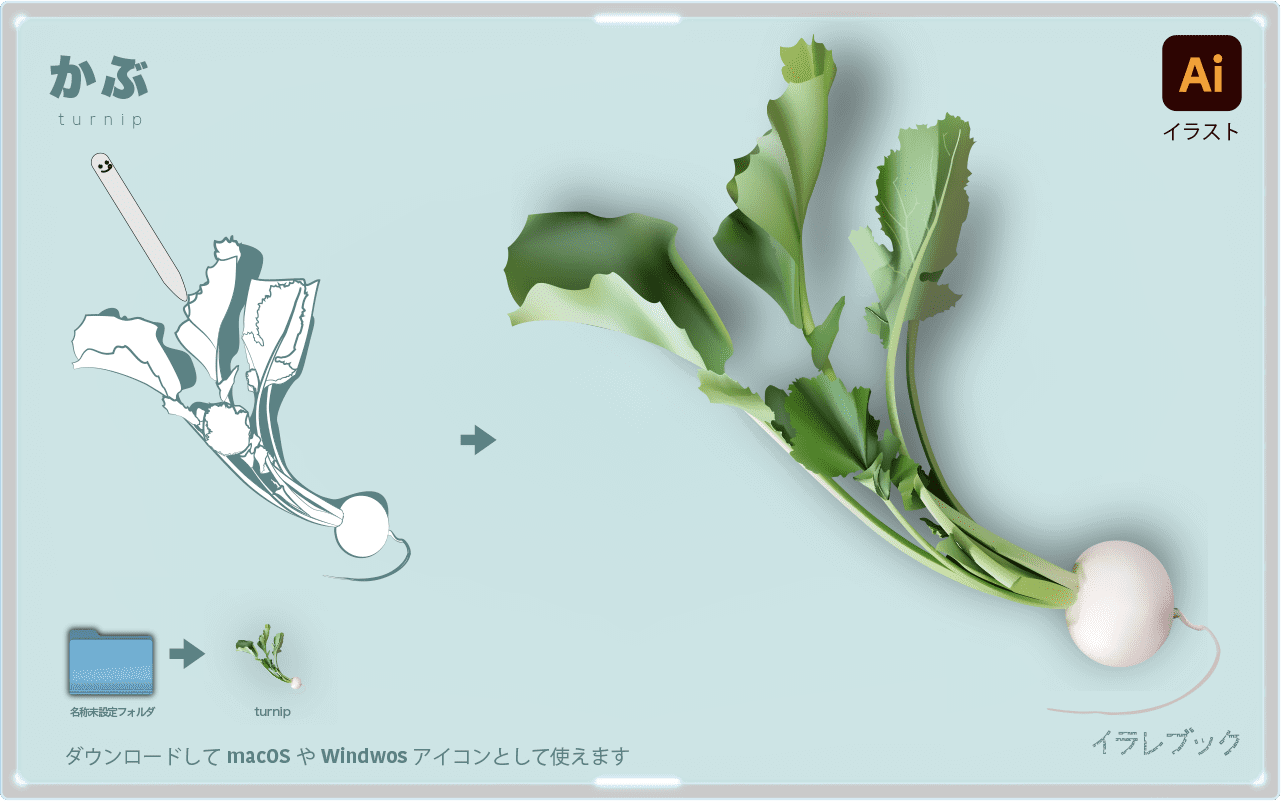 かぶ レシピや栄養 かぶの葉と千枚漬けなどの漬物に食べ方選び方も Turnip