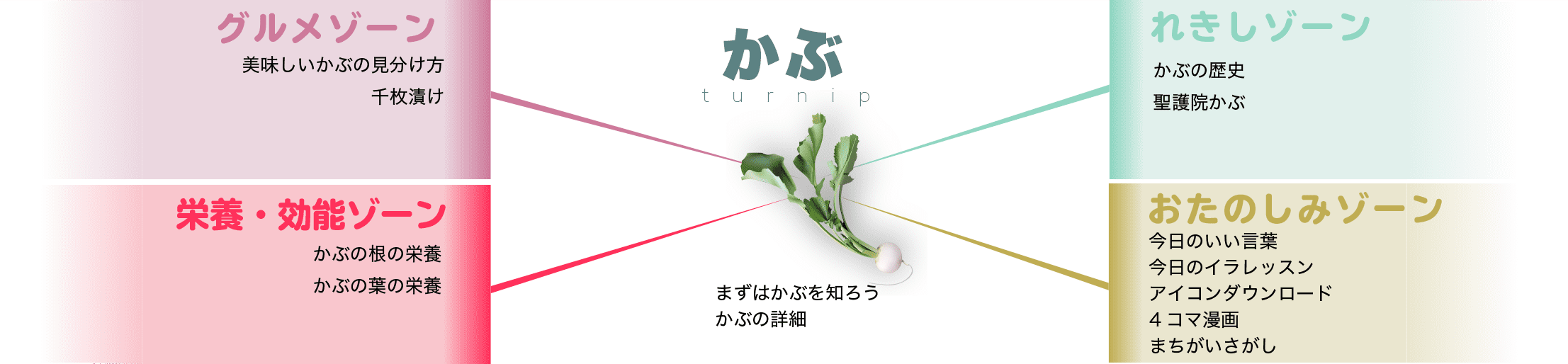 かぶ レシピや栄養 かぶの葉と千枚漬けなどの漬物に食べ方選び方も Turnip