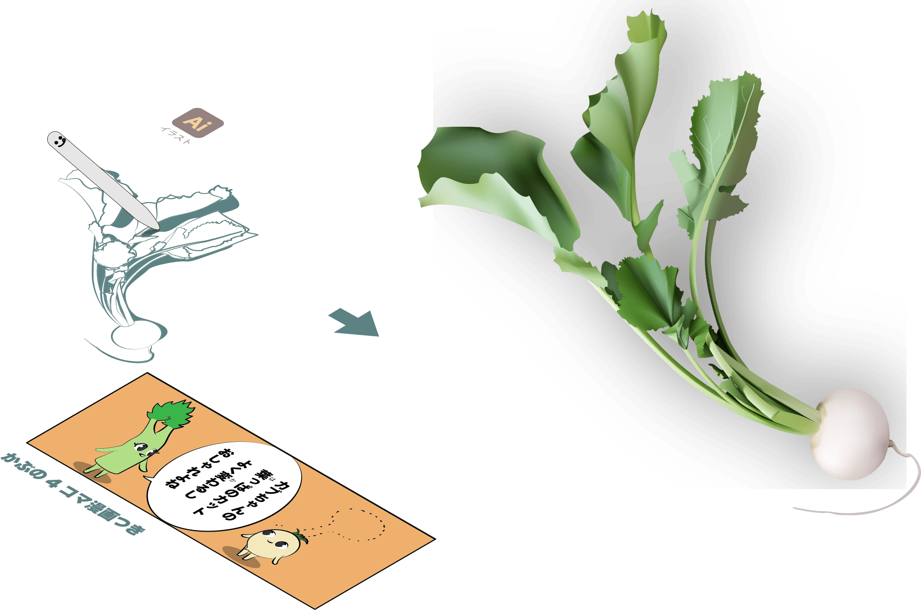 かぶの消化酵素で胃腸をサポート 聖護院蕪や千枚漬けも詳しく解説 Turnip