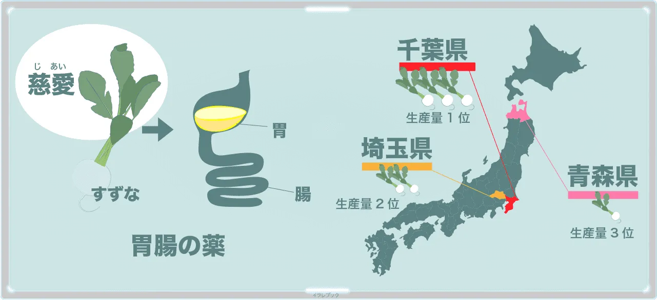 すずなは胃腸の薬にもなる。かぶ生産量1位は千葉県、2位は埼玉県、3位は青森県