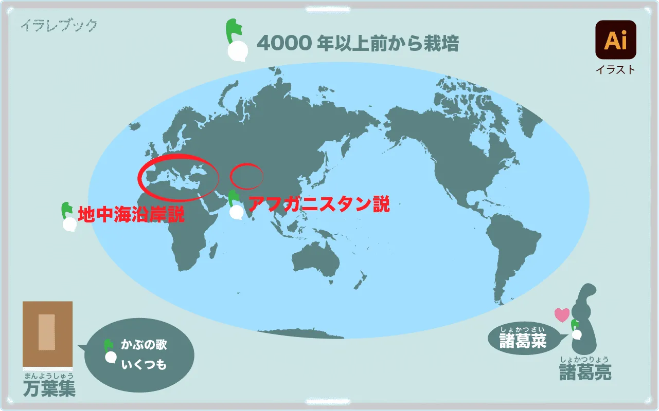 かぶの歴史