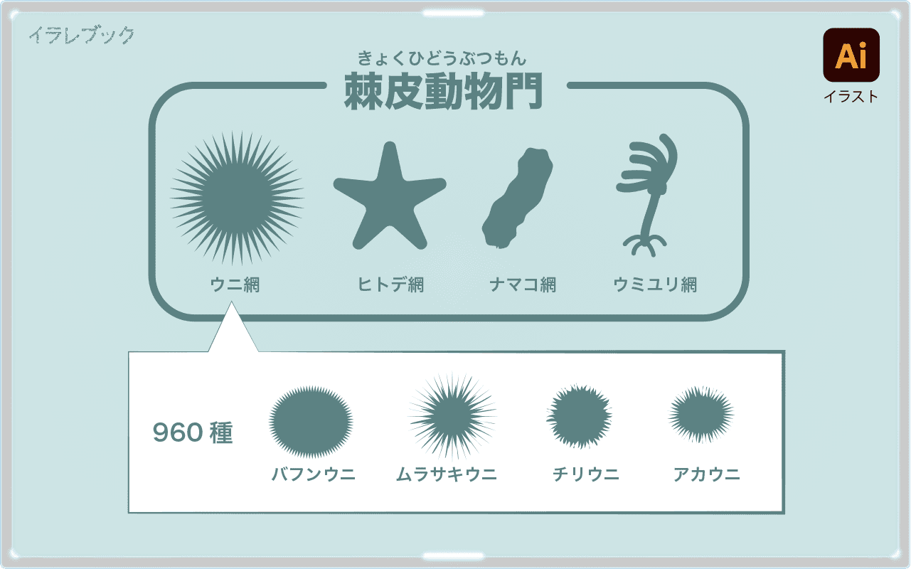 ウニの種類