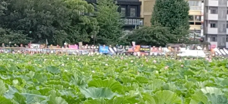 えの夏祭り2024の屋台