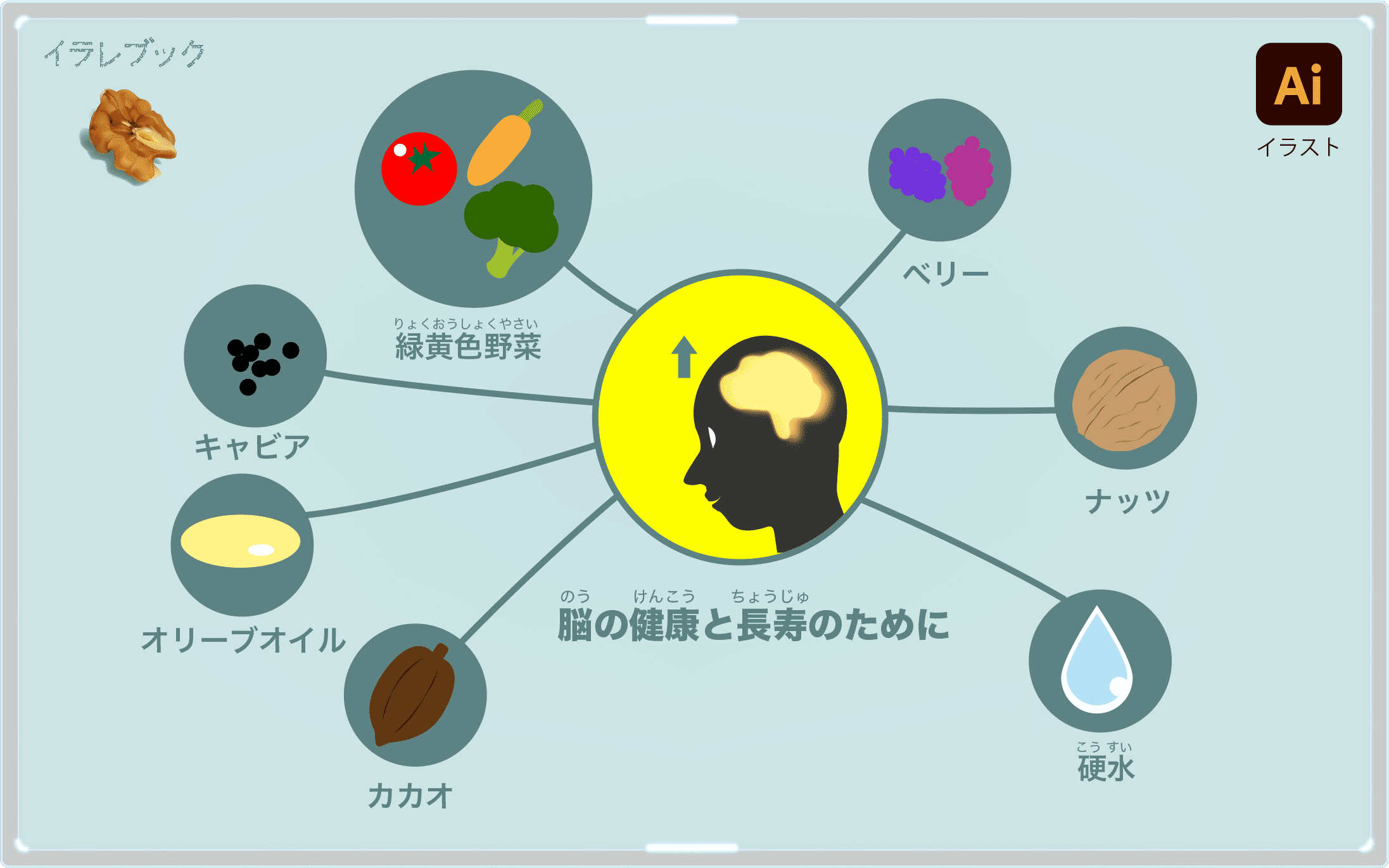 クルミ 脳にもいい栄養 くるみ割り人形の物語とブレインフード胡桃 Walnuts